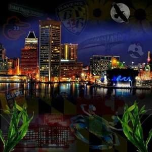 Meet your Posher, Calvin